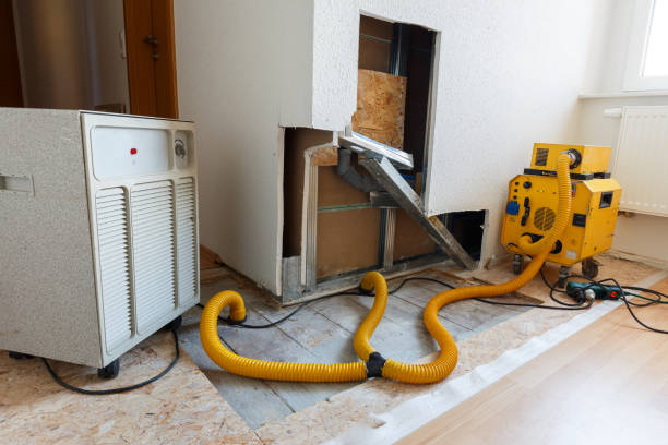 Best Mold Prevention Services  in Pea Ridge, WV
