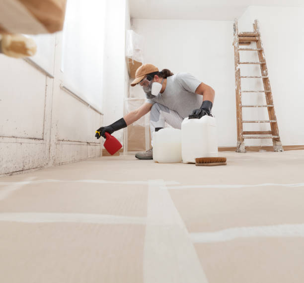Best Water Damage & Mold Remediation  in Pea Ridge, WV