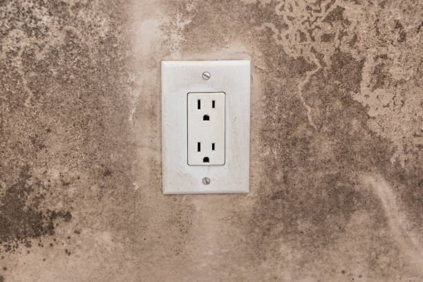 Mold Remediation for Rental Properties in Pea Ridge, WV