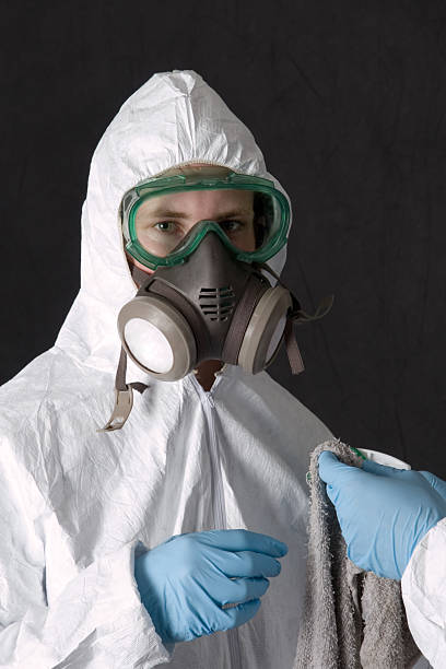 Best Crawl Space Mold Remediation  in Pea Ridge, WV
